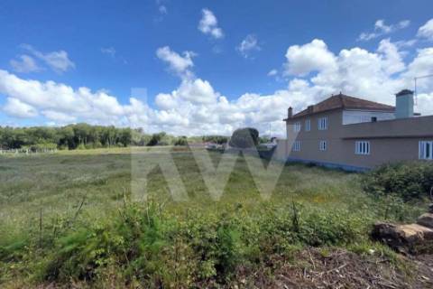 GRANDE TERRENO RÚSTICO COM 5.050 M2, LOCALIZADO NA MURTOSA