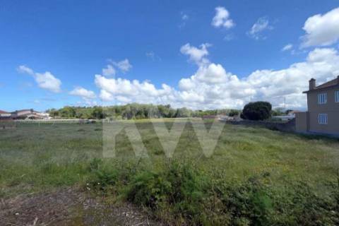 GRANDE TERRENO RÚSTICO COM 5.050 M2, LOCALIZADO NA MURTOSA