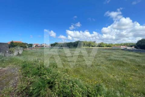 GRANDE TERRENO RÚSTICO COM 5.050 M2, LOCALIZADO NA MURTOSA