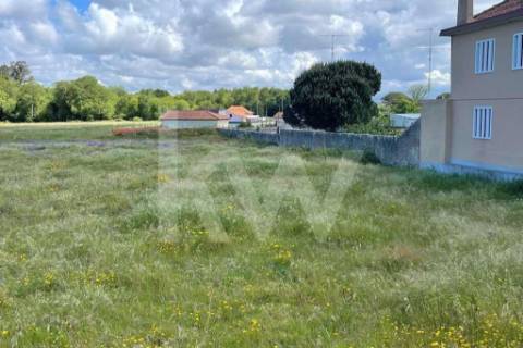 GRANDE TERRENO RÚSTICO COM 5.050 M2, LOCALIZADO NA MURTOSA