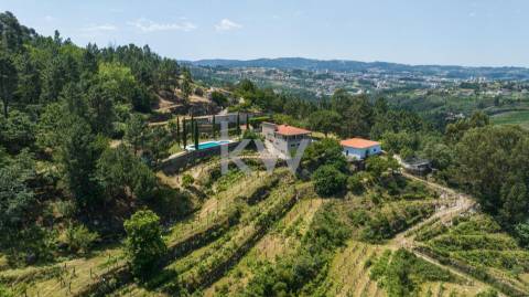 Quinta com amplo jardim, vinha, piscina, capela e vistas fabulosas, em Soalhães, Marco de Canaveses