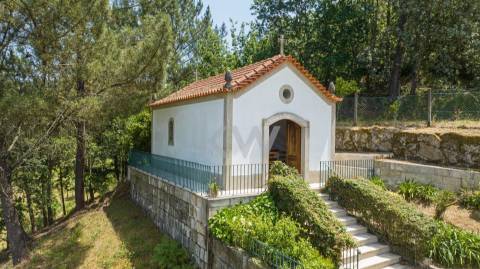 Quinta com amplo jardim, vinha, piscina, capela e vistas fabulosas, em Soalhães, Marco de Canaveses