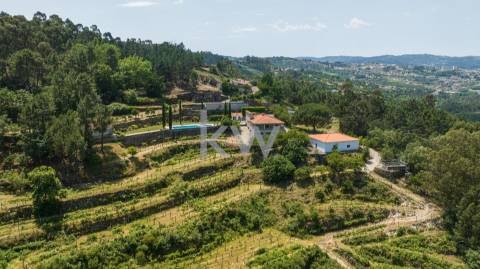 Quinta com amplo jardim, vinha, piscina, capela e vistas fabulosas, em Soalhães, Marco de Canaveses