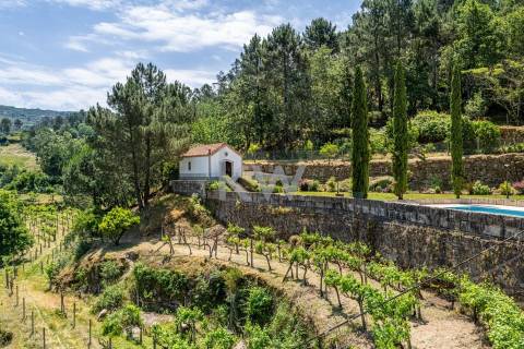 Quinta com amplo jardim, vinha, piscina, capela e vistas fabulosas, em Soalhães, Marco de Canaveses