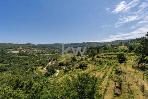 Quinta com amplo jardim, vinha, piscina, capela e vistas fabulosas, em Soalhães, Marco de Canaveses