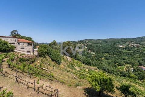 Quinta com amplo jardim, vinha, piscina, capela e vistas fabulosas, em Soalhães, Marco de Canaveses