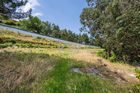 Quinta com amplo jardim, vinha, piscina, capela e vistas fabulosas, em Soalhães, Marco de Canaveses
