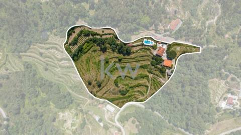 Quinta com amplo jardim, vinha, piscina, capela e vistas fabulosas, em Soalhães, Marco de Canaveses