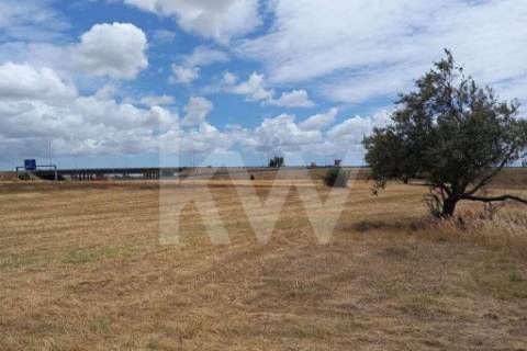 Terreno nas Portas da Cidade do Montijo com cerca de 20.000 m2