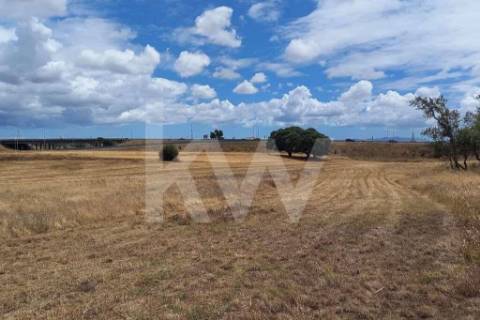 Terreno nas Portas da Cidade do Montijo com cerca de 20.000 m2
