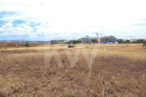 Terreno nas Portas da Cidade do Montijo com cerca de 20.000 m2