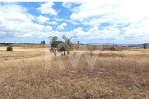 Terreno nas Portas da Cidade do Montijo com cerca de 20.000 m2