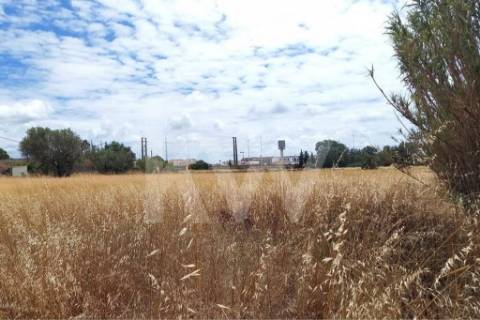 Terreno Corte das Cheiras com cerca de 28.000 m2 | Estrada real, Montijo