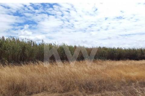 Terreno Corte das Cheiras com cerca de 28.000 m2 | Estrada real, Montijo