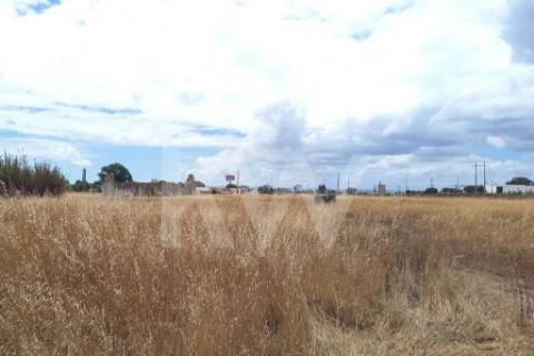 Terreno Corte das Cheiras com cerca de 28.000 m2 | Estrada real, Montijo