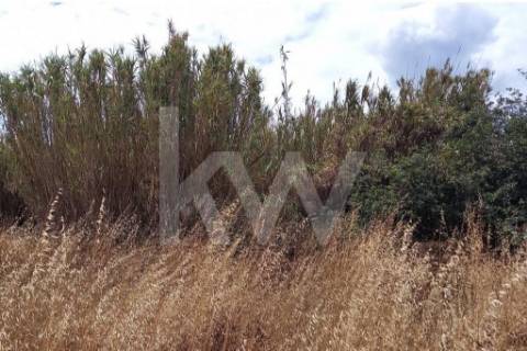Terreno Corte das Cheiras com cerca de 28.000 m2 | Estrada real, Montijo