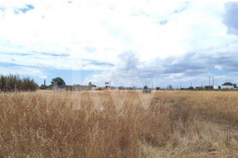 Terreno Corte das Cheiras com cerca de 28.000 m2 | Estrada real, Montijo