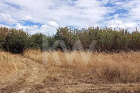 Terreno Corte das Cheiras com cerca de 28.000 m2 | Estrada real, Montijo