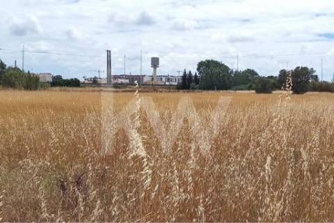 Terreno Corte das Cheiras com cerca de 28.000 m2 | Estrada real, Montijo