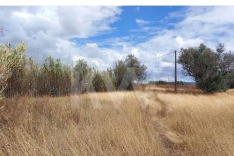 Terreno Corte das Cheiras com cerca de 28.000 m2 | Estrada real, Montijo