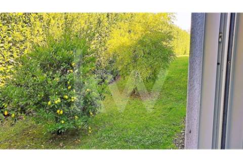 - Quintinha c/ Moradia de arquitectura contemporânea, com jardim, piscina, court ténis