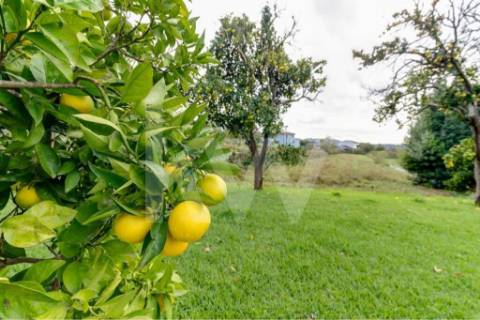 Quinta T4 com piscina, ringue de futebol (quase 20.000M2) em Navarra - Braga