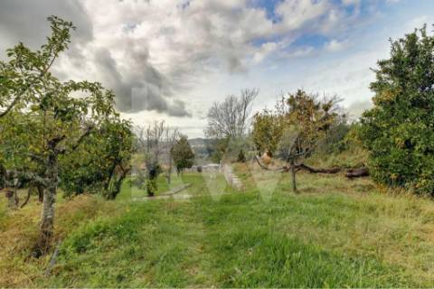 Quinta T4 com piscina, ringue de futebol (quase 20.000M2) em Navarra - Braga