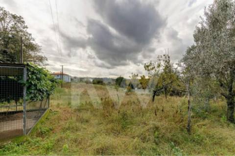 Quinta T4 com piscina, ringue de futebol (quase 20.000M2) em Navarra - Braga