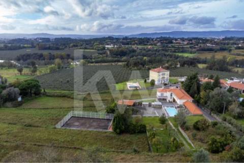Quinta T4 com piscina, ringue de futebol (quase 20.000M2) em Navarra - Braga