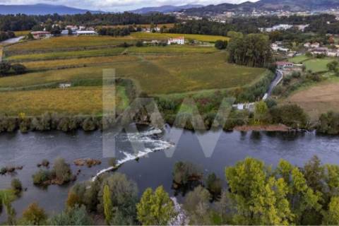 Quinta T4 com piscina, ringue de futebol (quase 20.000M2) em Navarra - Braga