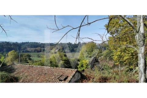Quinta com excelente exposição solar, toda murada em pedra azul- para recuperar