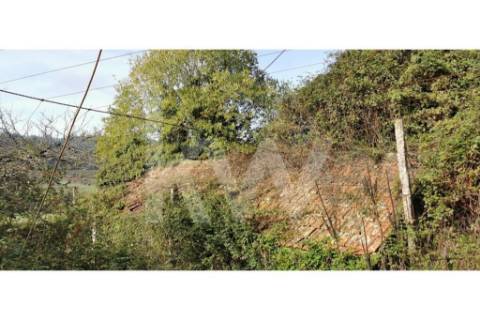 Quinta com excelente exposição solar, toda murada em pedra azul- para recuperar