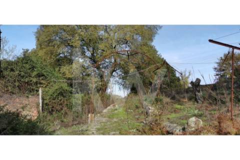 Quinta com excelente exposição solar, toda murada em pedra azul- para recuperar