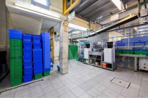 Armazém /Atividades Industriais em Peso da Régua, junto à Casa do Douro - Vila Real.