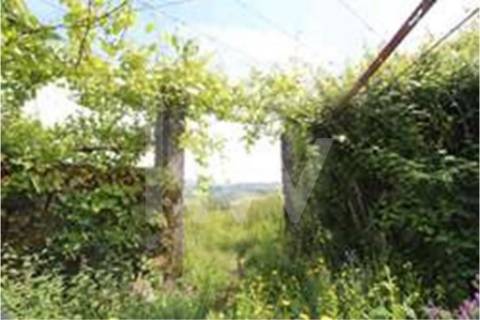 Terreno que se desenvolve na encosta solarenga todo murado com água de mina