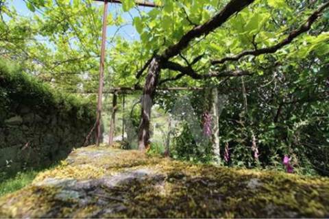 Terreno que se desenvolve na encosta solarenga todo murado com água de mina