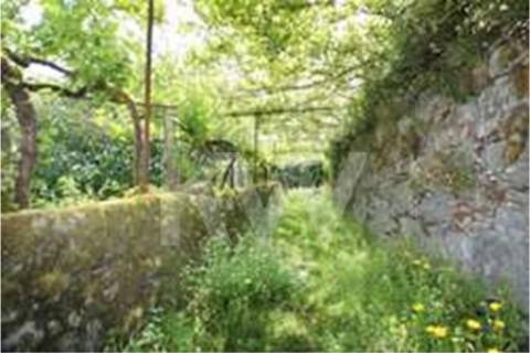 Terreno que se desenvolve na encosta solarenga todo murado com água de mina