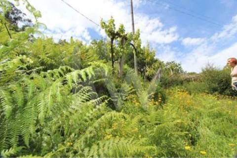 Terreno que se desenvolve na encosta solarenga todo murado com água de mina