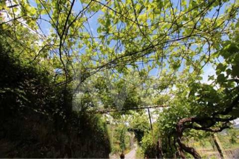 Terreno que se desenvolve na encosta solarenga todo murado com água de mina