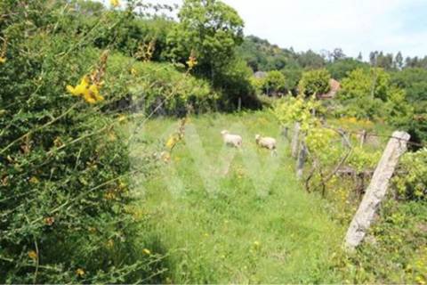 Terreno que se desenvolve na encosta solarenga todo murado com água de mina