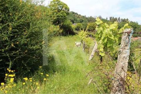 Terreno que se desenvolve na encosta solarenga todo murado com água de mina