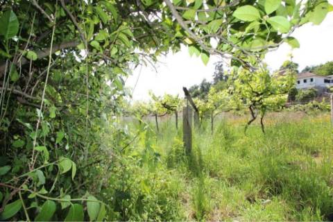 Terreno murado com água 