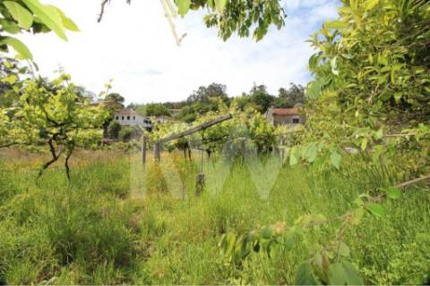 Terreno murado com água 