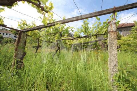 Terreno murado com água 