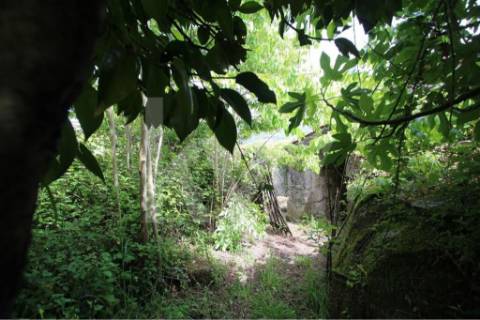 Terreno murado com água 