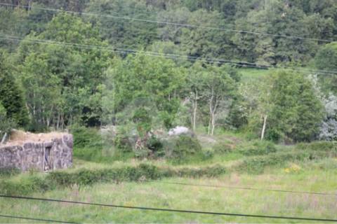 Terreno plano com PIP para construção com cerca de 2.000m2 e ruínas.