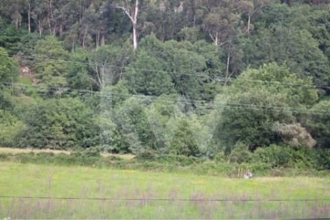 Terreno plano com PIP para construção com cerca de 2.000m2 e ruínas.