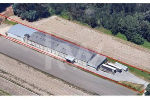 Armazém em Complexo Industrial na Zona Industrial de Vagos