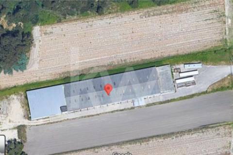 Armazém em Complexo Industrial na Zona Industrial de Vagos