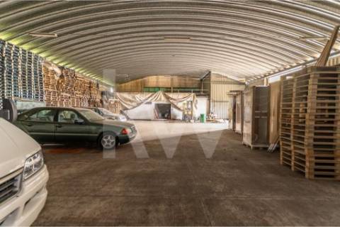 Armazém em Complexo Industrial na Zona Industrial de Vagos